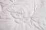 Одеяло PURE SILK GD всесезонное